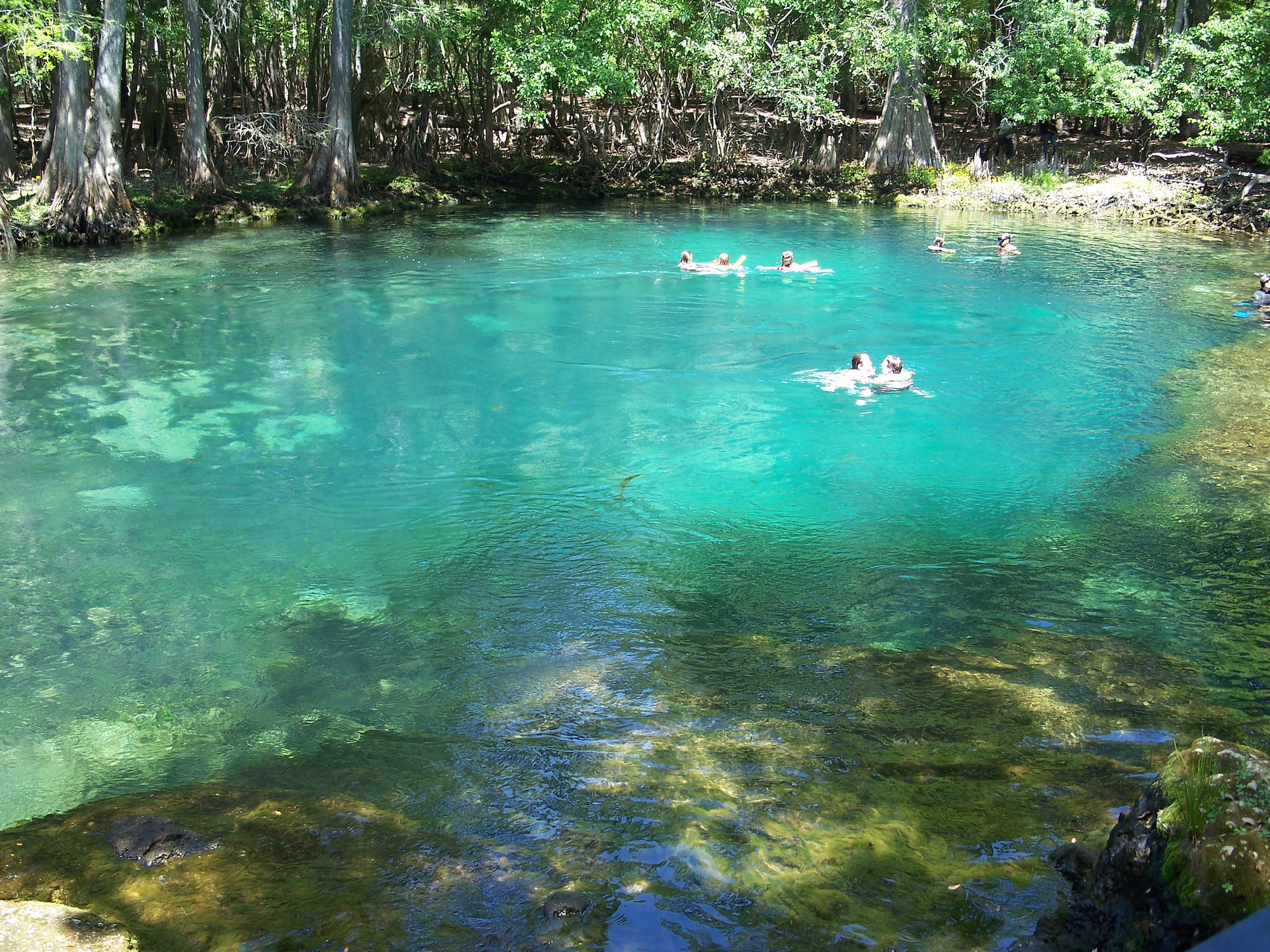 Why I Love Florida, Reason 4 900 Hidden Springs Diane Capri
