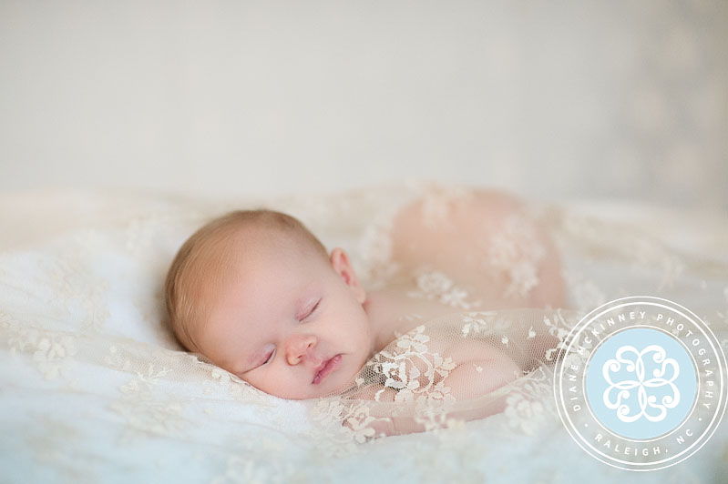Newborn photographers raleigh nc Diane McKinney