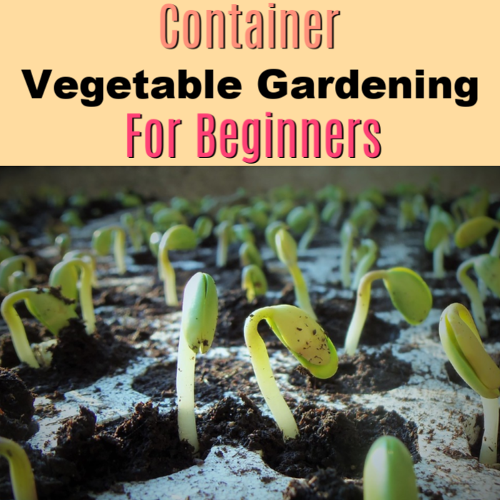 Tools Used For Gardening A Beginner’s Guide Dian Farmer Learning To