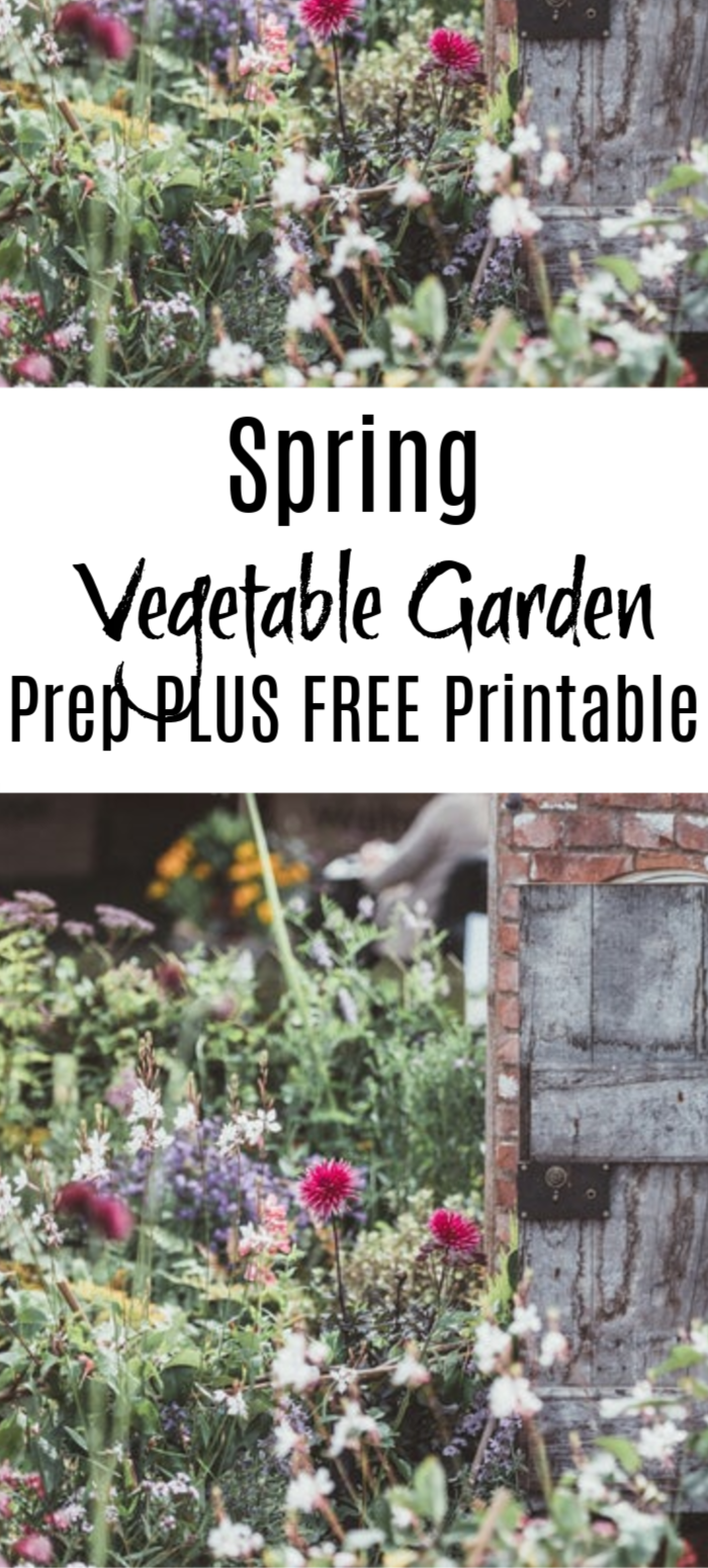 Spring Vegetable Garden Prep PLUS FREE Printable!