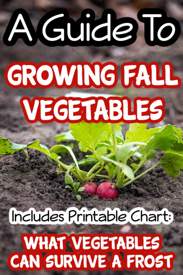 Easily Grow Your Own Food with Square Foot Gardening Backyard Vegetable Gardener