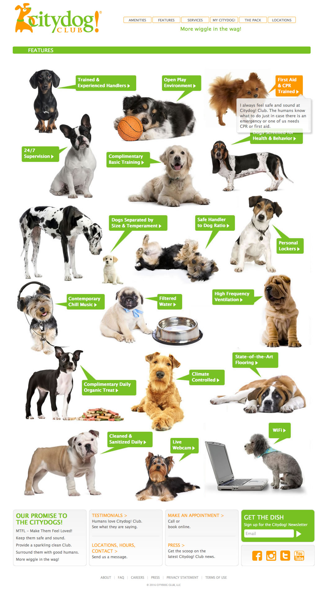 Citydog! Club DIANNA DORAN