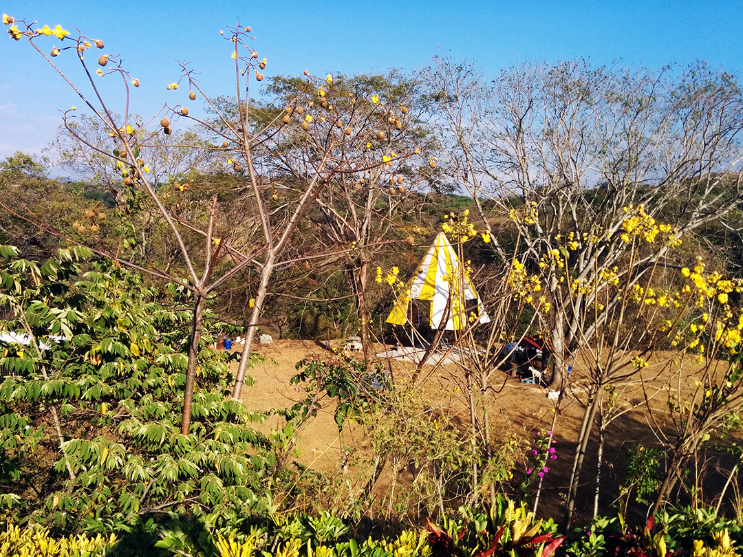 Costa Rican Airbnb, Family Summer Treehouse, Alajuela, Costa Rica
