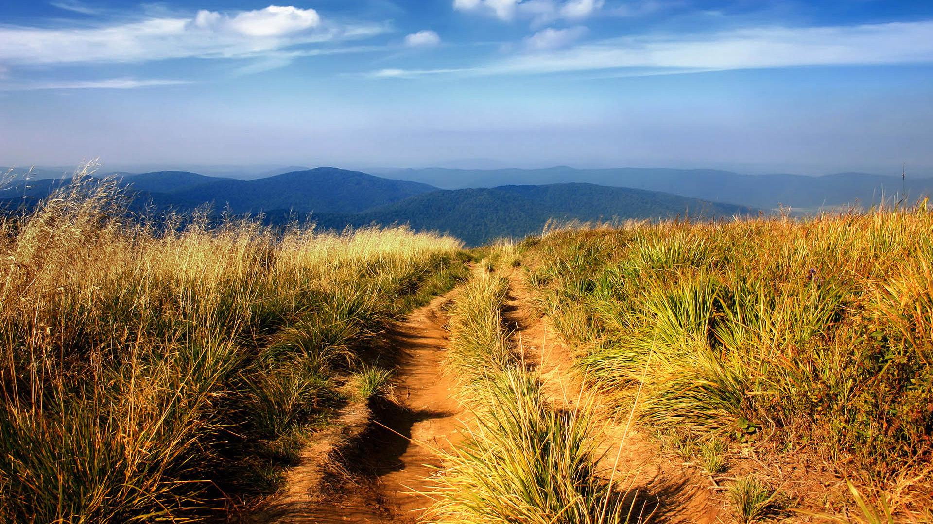 Télécharger le fond d'écran Superbe vue chemin colline(1920x1080)