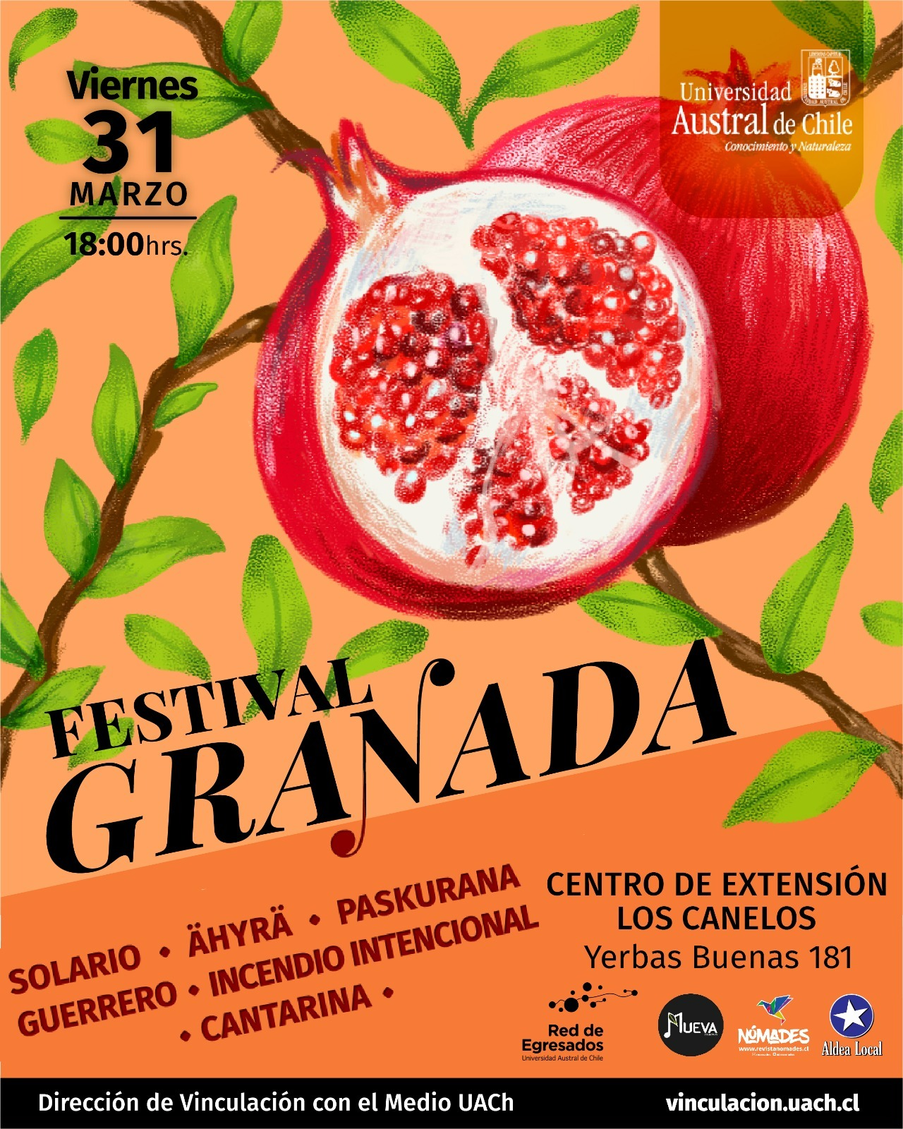 ¡Trabajando codo a codo! Colectivo MUEVA y Vinculación UACh en nuevo