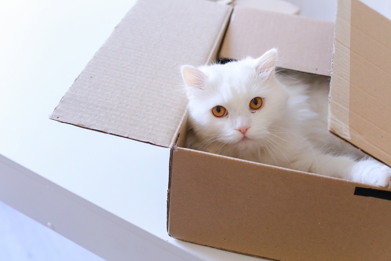 4 Useful Ways You Can Repurpose Old Cardboard Boxes Diary of a New Mom