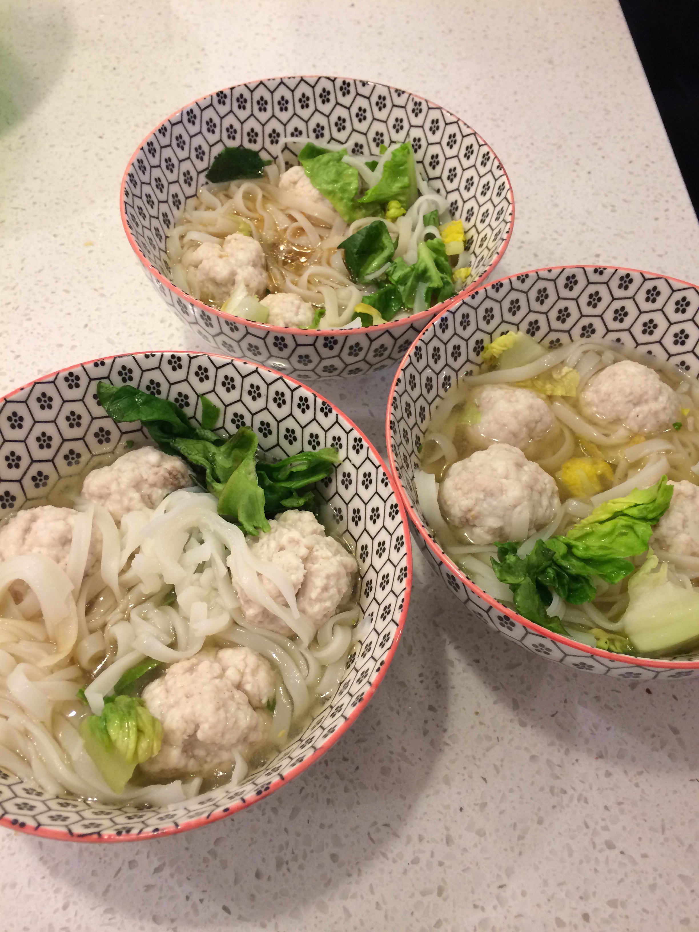 Fish ball noodle soup NZ thermomix mum's blog