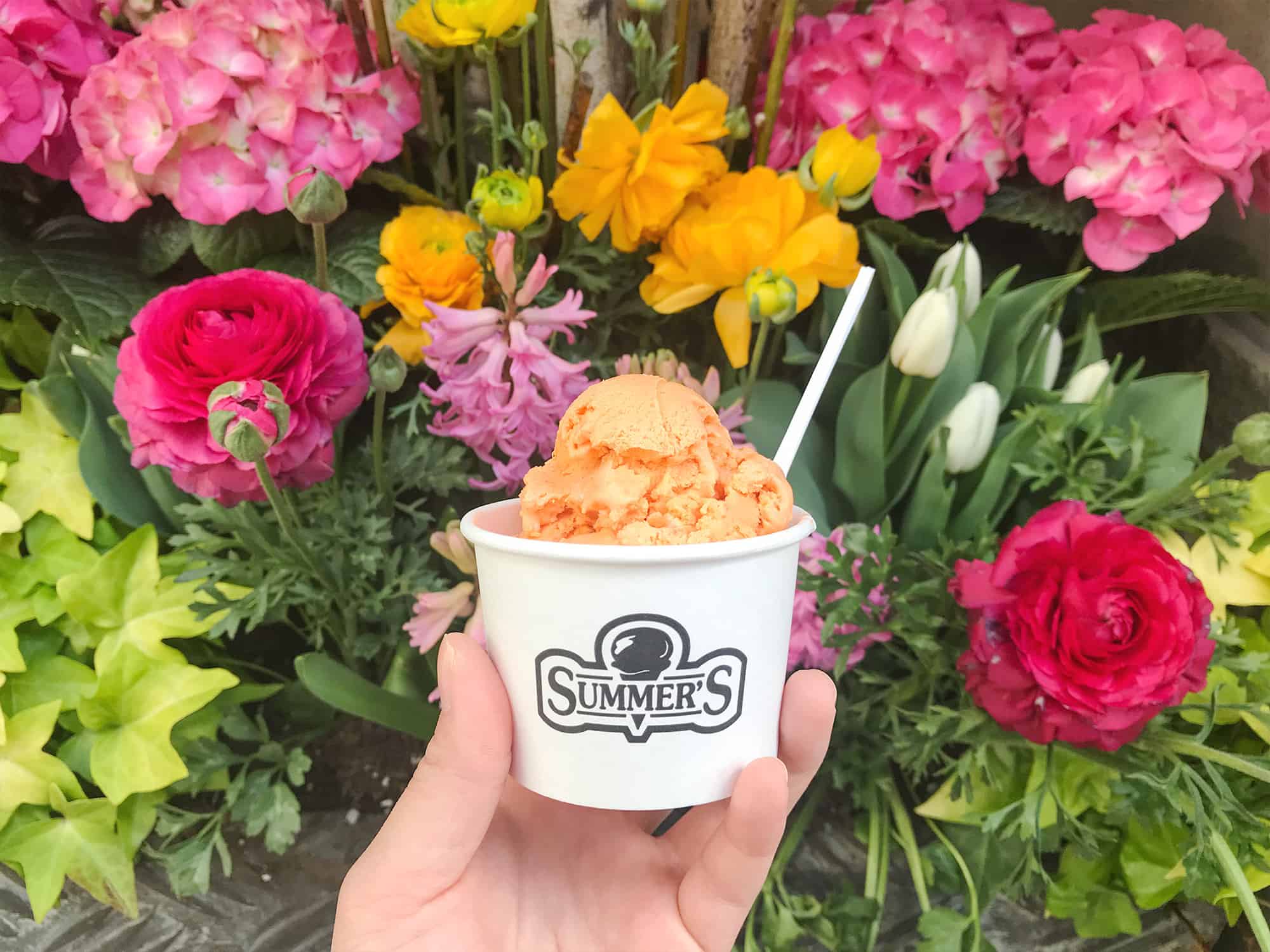 12 Best Toronto Ice Cream Spots to Satisfy Your Sweet Tooth