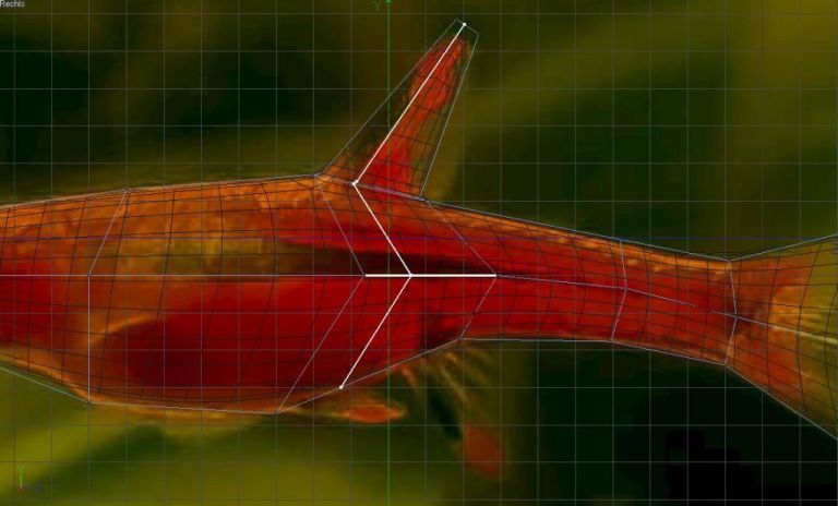I Try to Model the Fish in 3d Part 1 Diary of Dennis