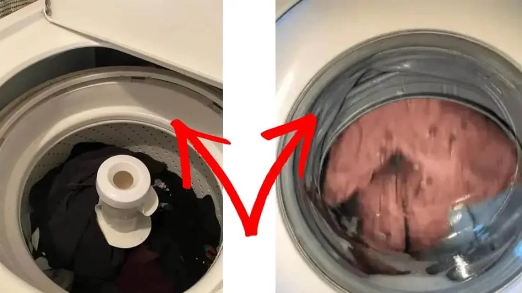 Washing Machine Drum Loose? (Easy Fix for All Brands) Diary of Spaces