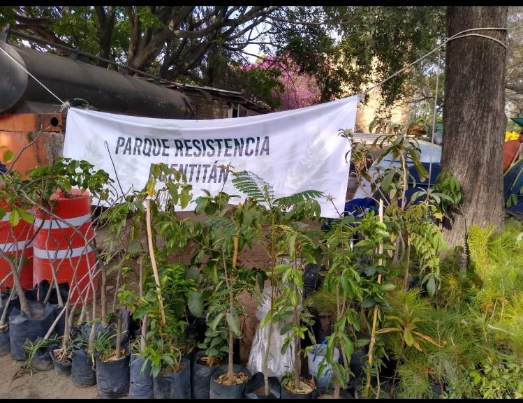 Colectivo Parque Resistencia Huentitan Interpondra Amparos Por El Tema Iconia Diasporas De Resistencias Socioambientales