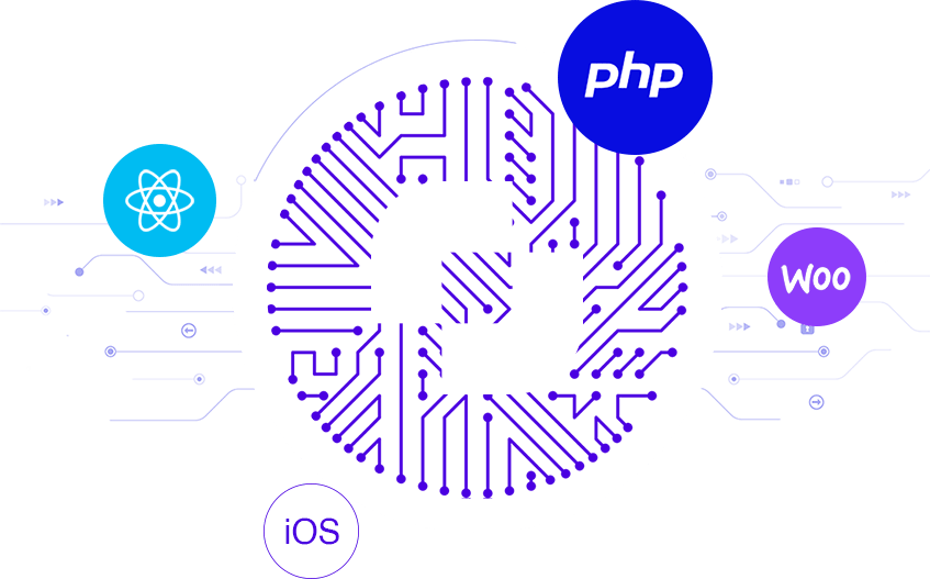 Dice Solutions IT Solutions Provider