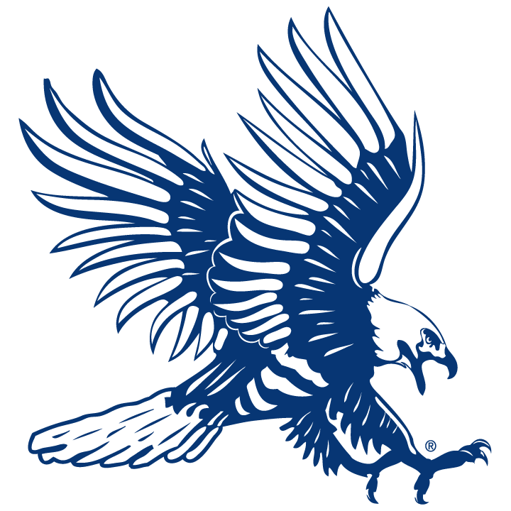 Logos Dickinson State University