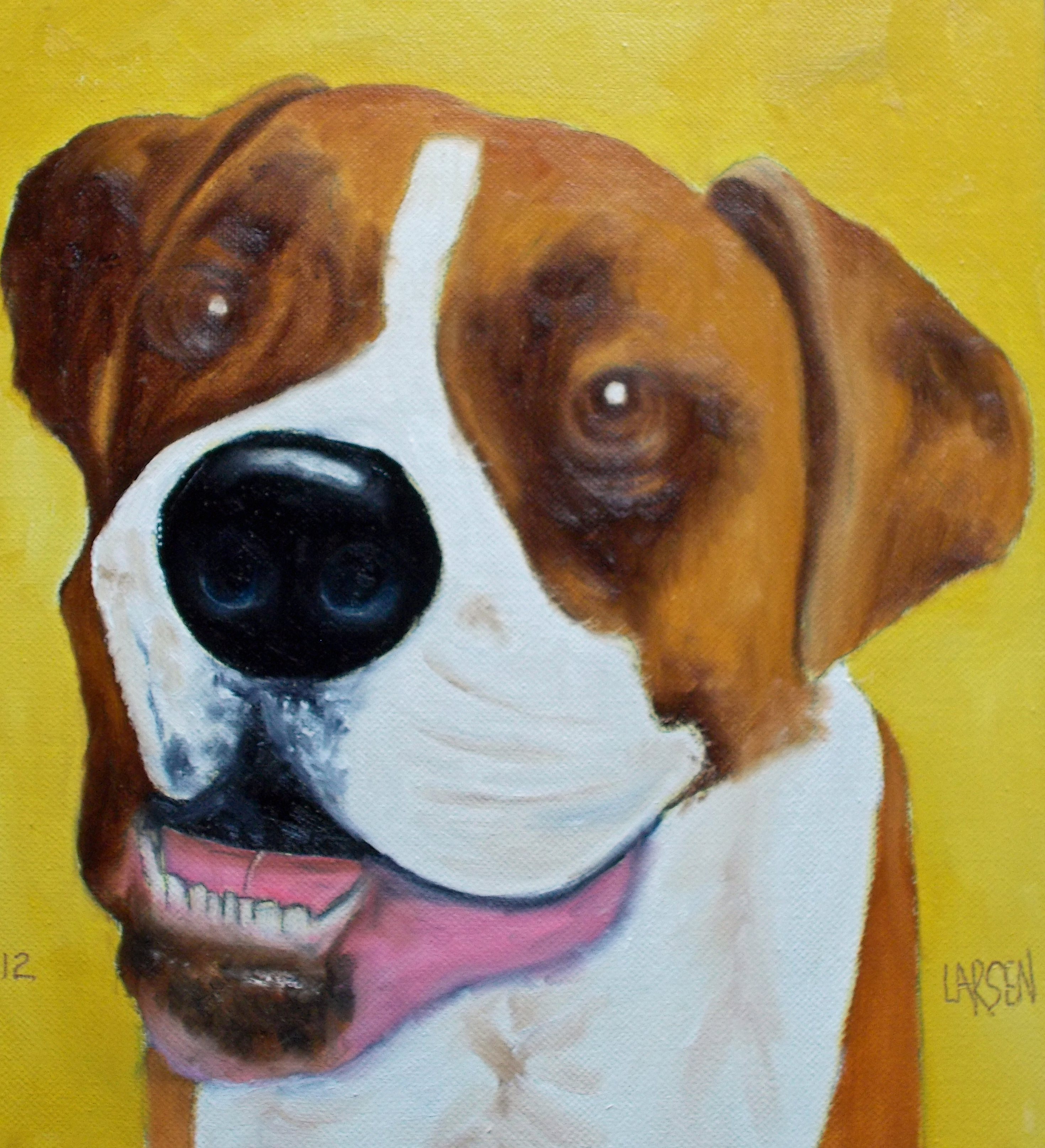 dog_portraits