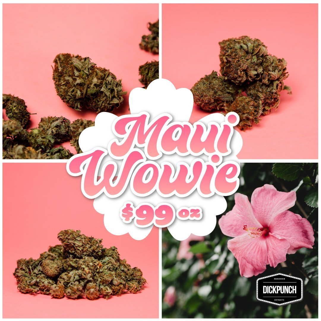 Maui Wowie Flower 99 oz! Dickpunch