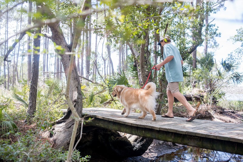 Beresford Creek Boat Landing Daniel Island Property Owners' Association