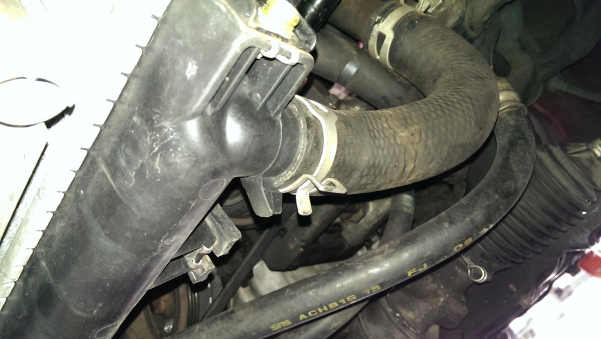 Disconnecting Lower Radiator Hose Did It Myself