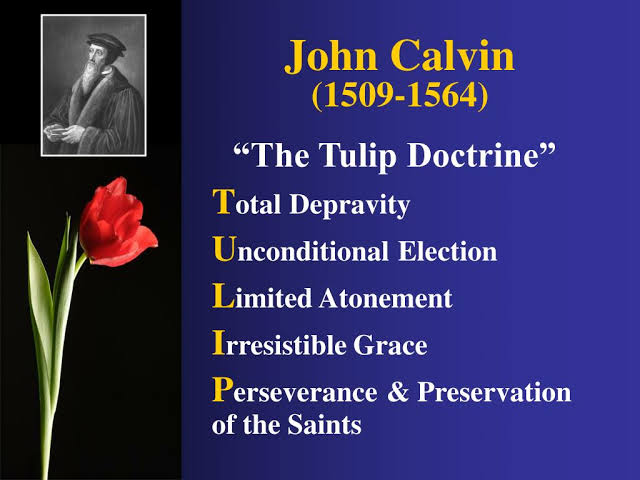 TULIP John Calvin Judul Situs