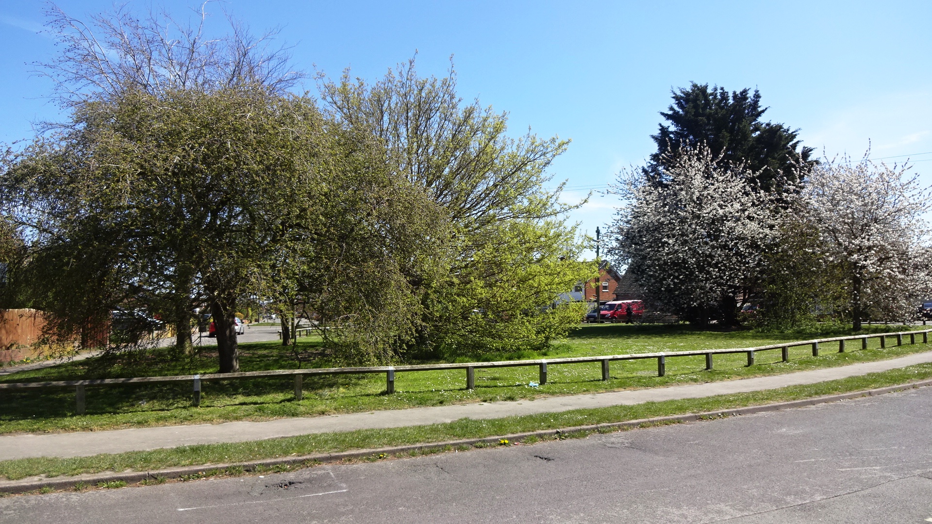 Didcot trees Protect