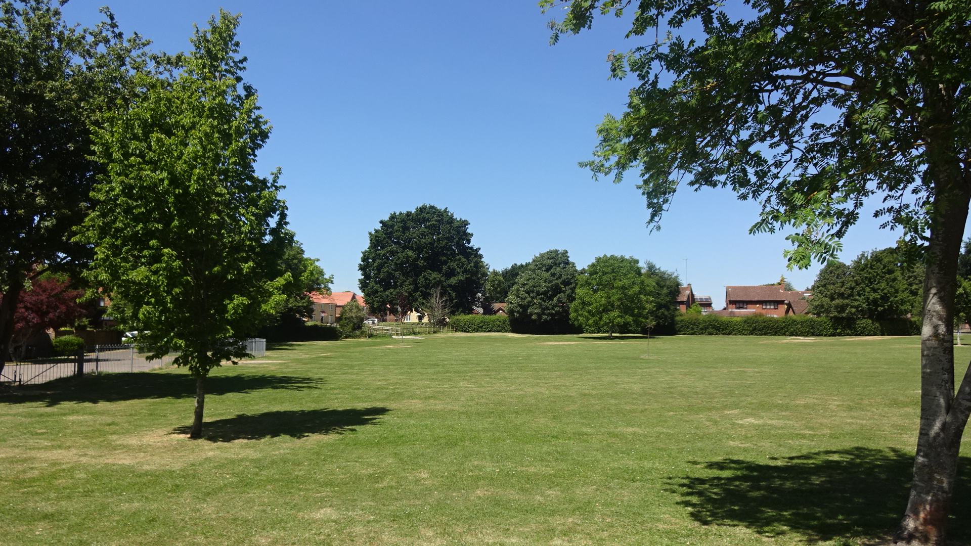 Didcot trees Great Western Park south