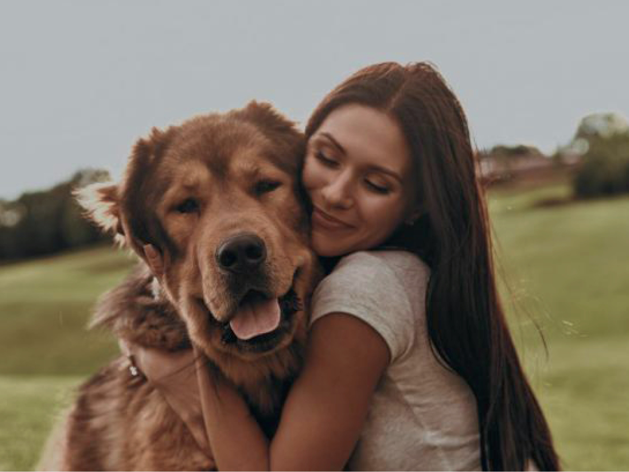 Pet Wellness Direct DIDO Agency