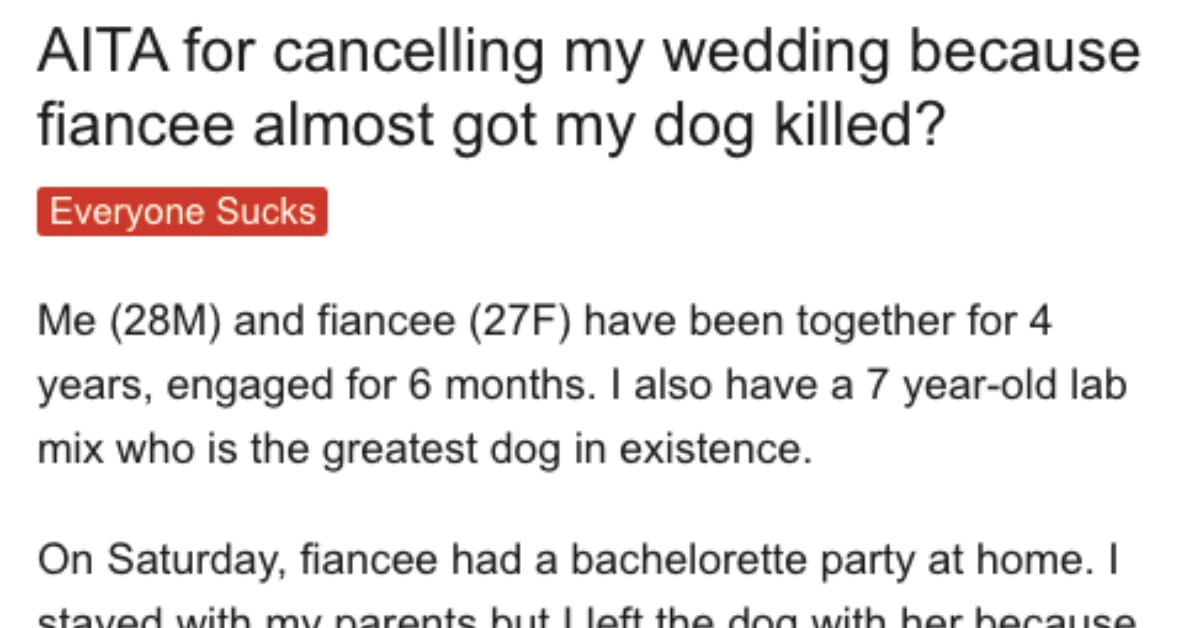 DogLoving Fiance Calls Off Wedding After His Partner Nearly Gets His Pooch Killed