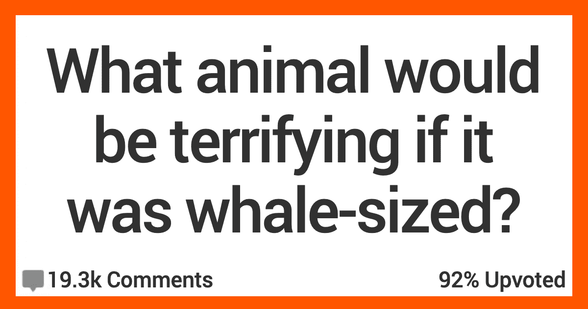 What Animal Would Be the Scariest if It Was the Size of a Whale? Here’s