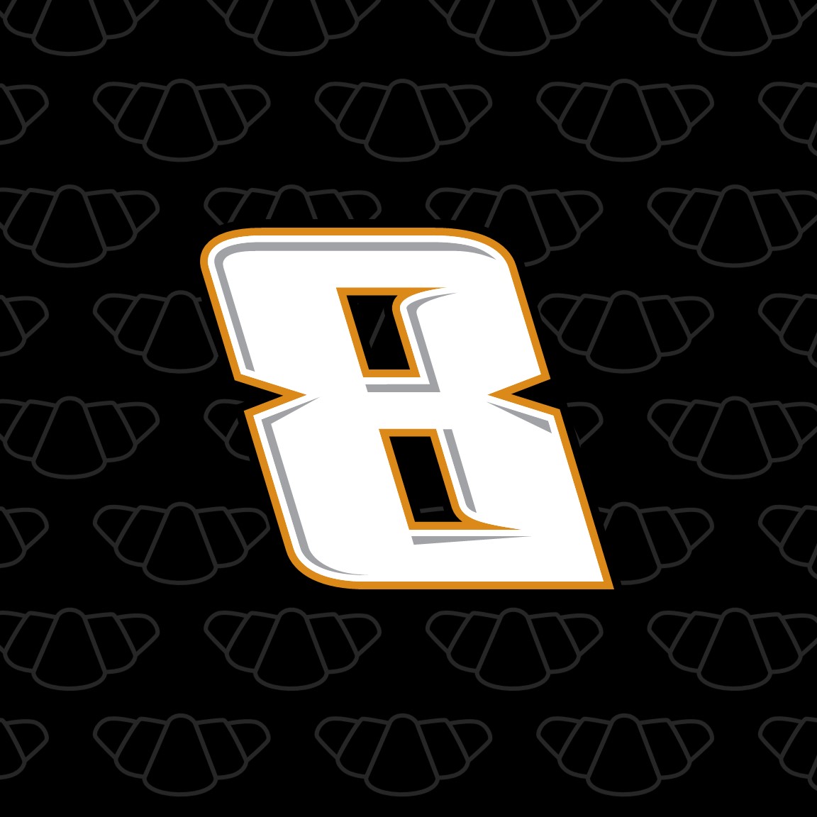 2023 KYLE BUSCH CUP NUMBER CARDS
