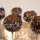 Cakepops - Die "Cupcakes to go"