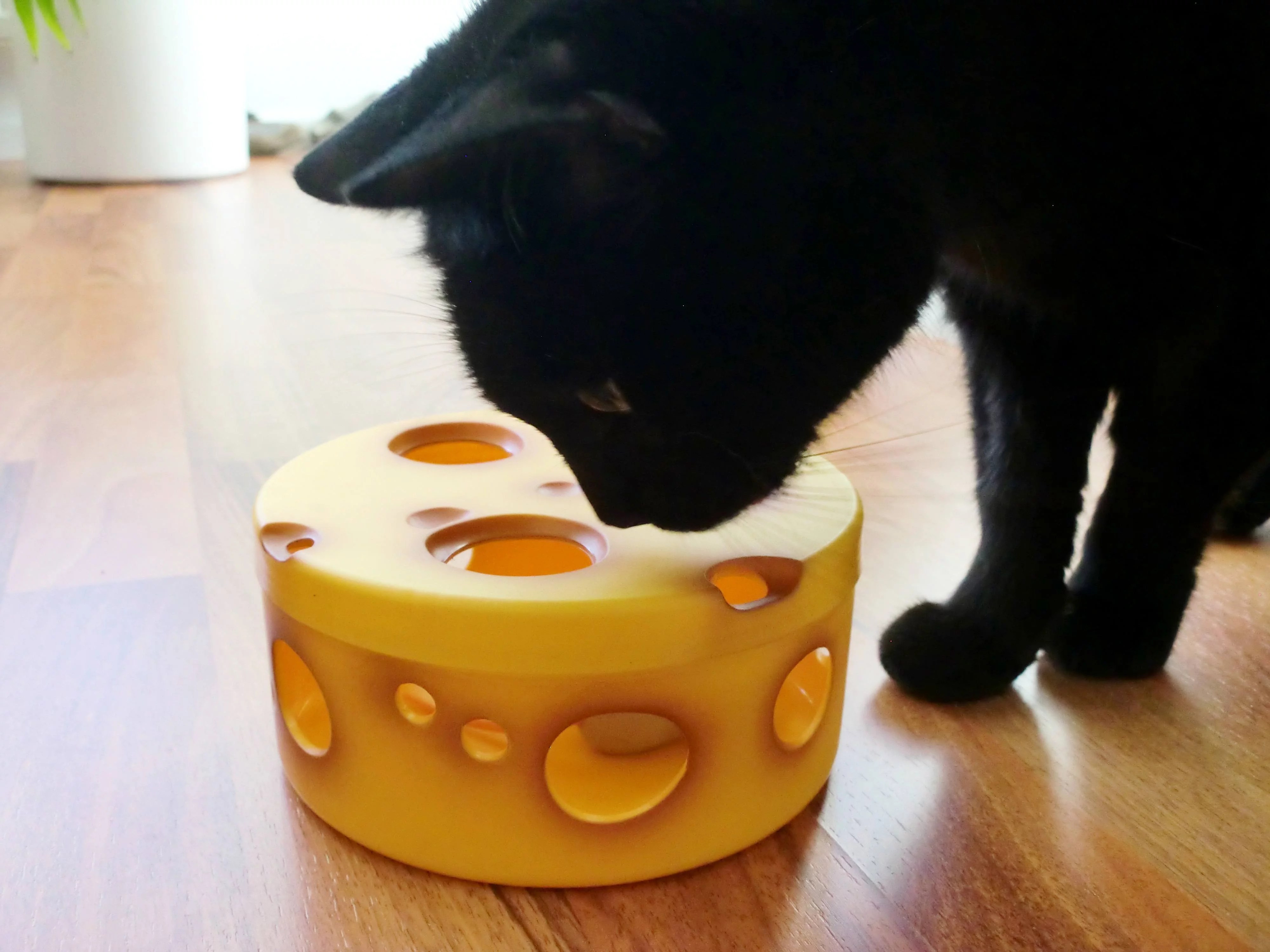 Katzenspielzeug im Test Erfahrungsbericht über schlechte Spielsachen