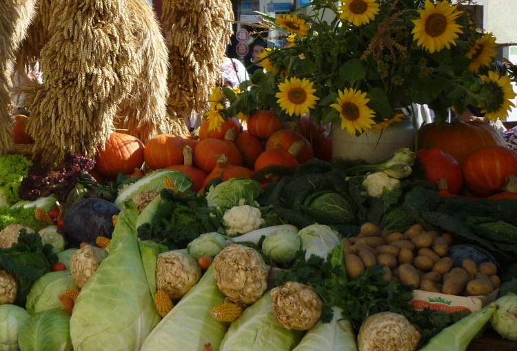 Landwirtschaft heute David und Goliaths Die Mitwelt