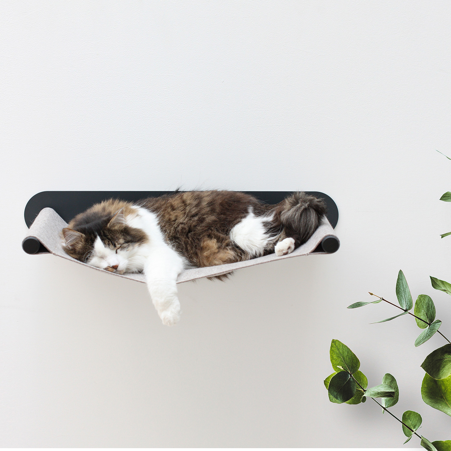 KatzenHängematte SWING Für die Wand