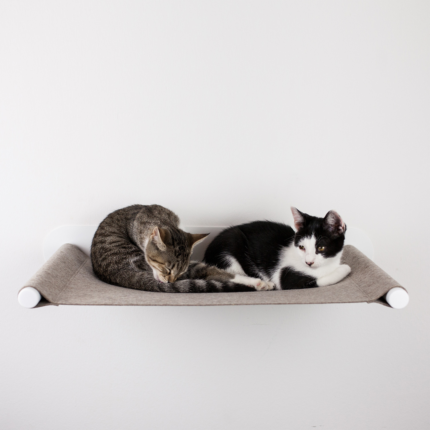 KatzenHängematte SWING Für die Wand