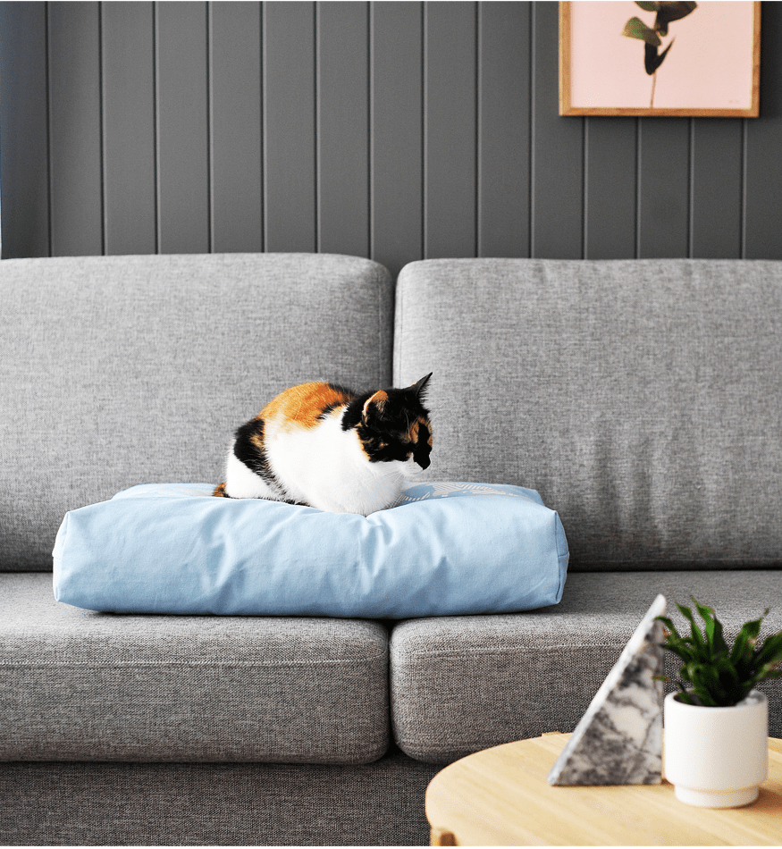 Rechteckiges Katzenkissen PADI Die moderne Katze