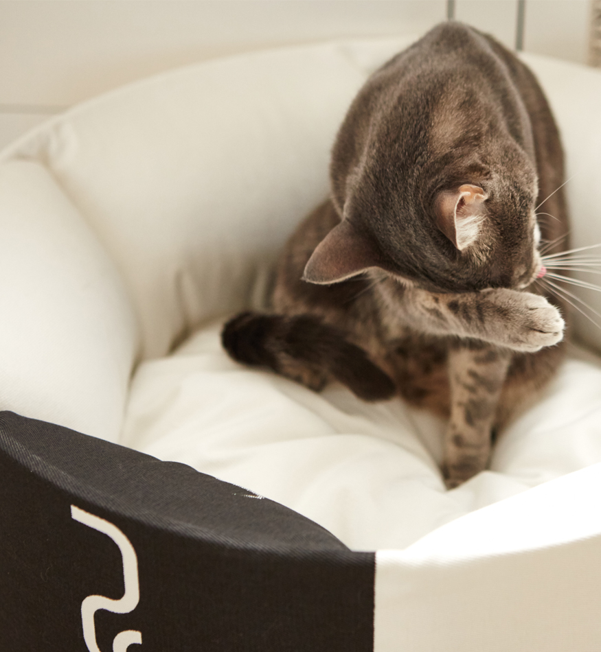 Rundes Katzenbett OTI Die moderne Katze