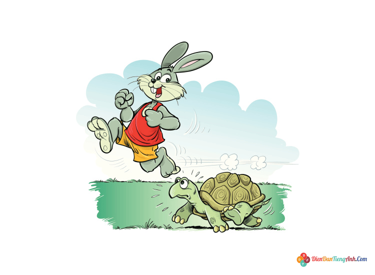 The Rabbit and the Turtle (rùa và thỏ)