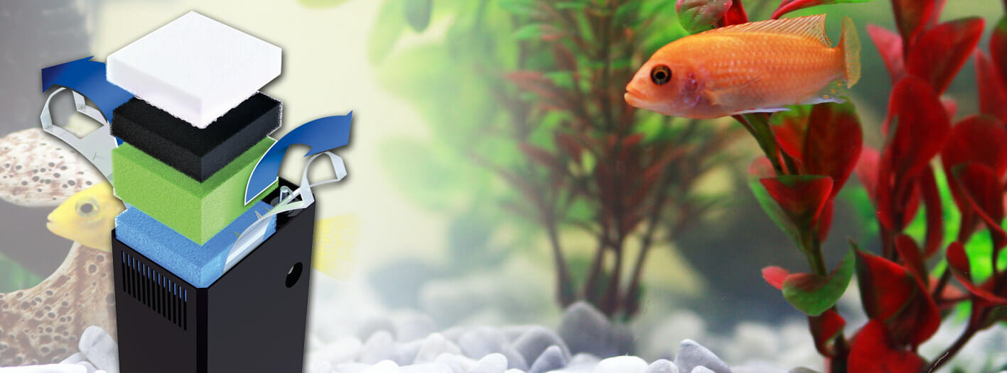 Het aquariumfilter schoonmaken als een pro →