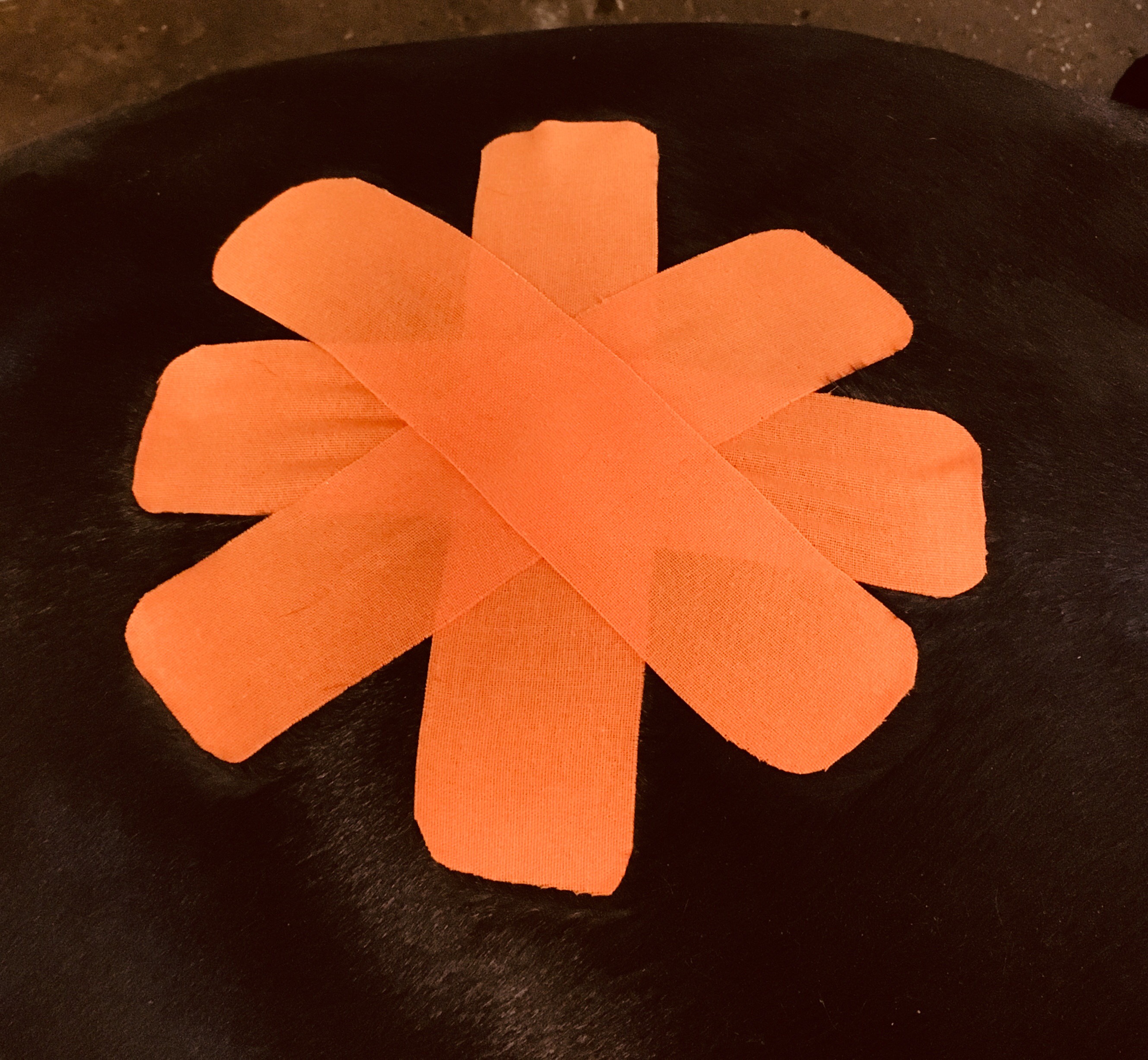 Medical Taping Dierfysiotherapie Monique Hoiting