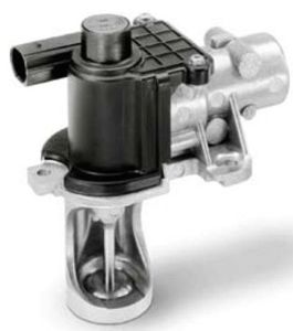 EGR Systems & Components