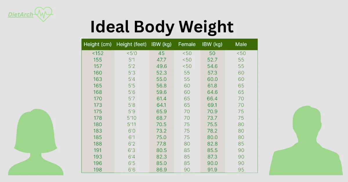 Ideal Weight Calculator Find Your Healthy Weight (IBW) 2026