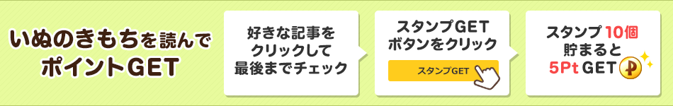 いぬのきもち ポイントサイト GetMoney!