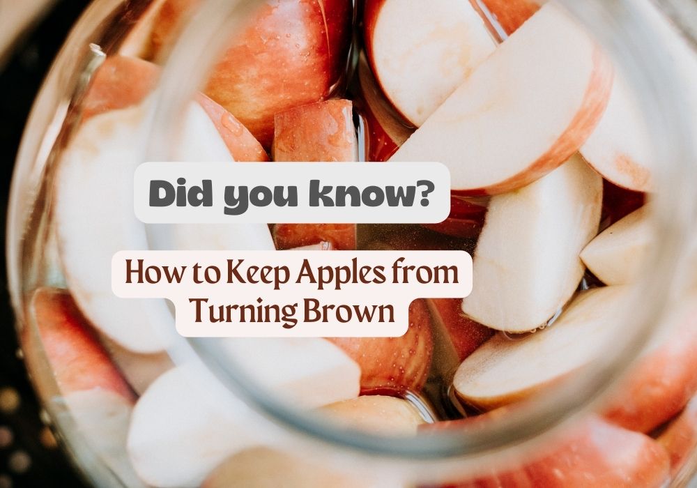 How to Keep Apples from Turning Brown Tips and Tricks for Freshness