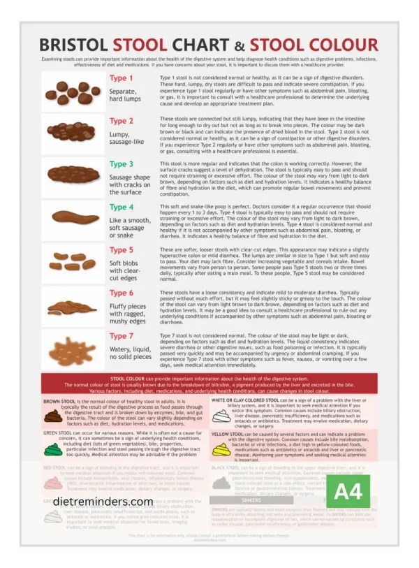 Bristol Stool Chart &amp; Color Guide A4 Digestive Health Reference