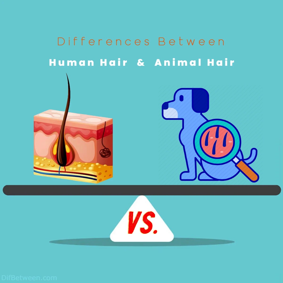Human vs Animal Hair Differences Exploring Contrasts