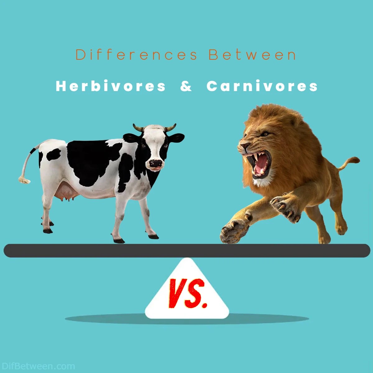 Herbivores vs Carnivores Key Differences Unveiled