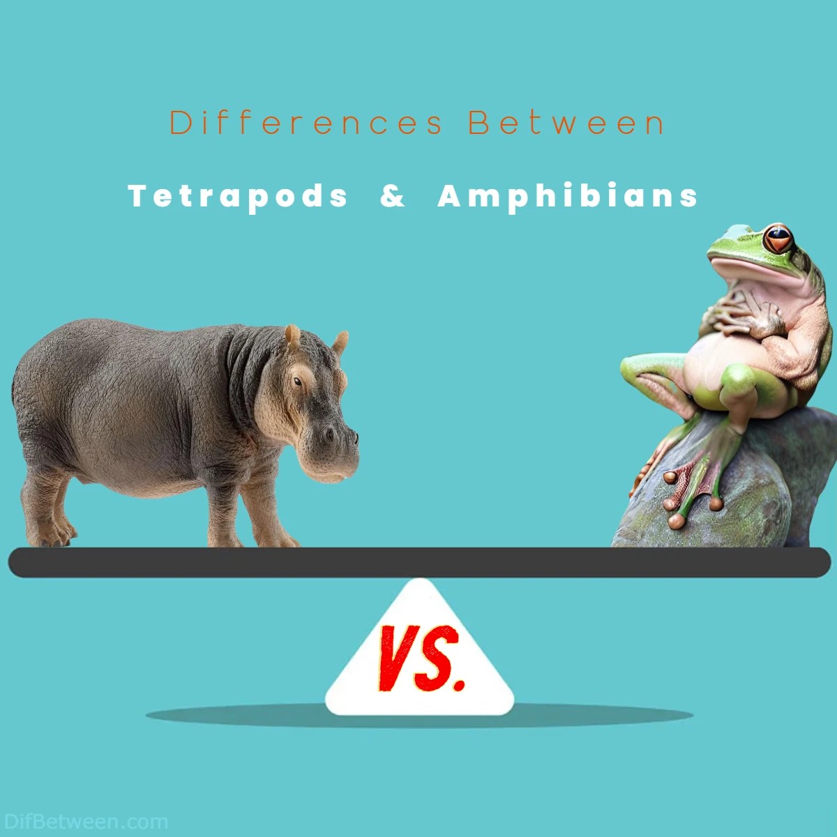 Tetrapods vs Amphibians Key Differences Unveiled