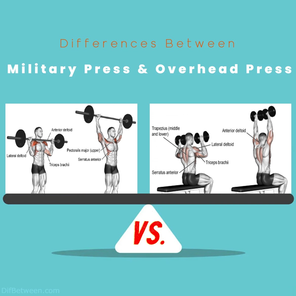 Military Press vs Overhead Press Key Differences