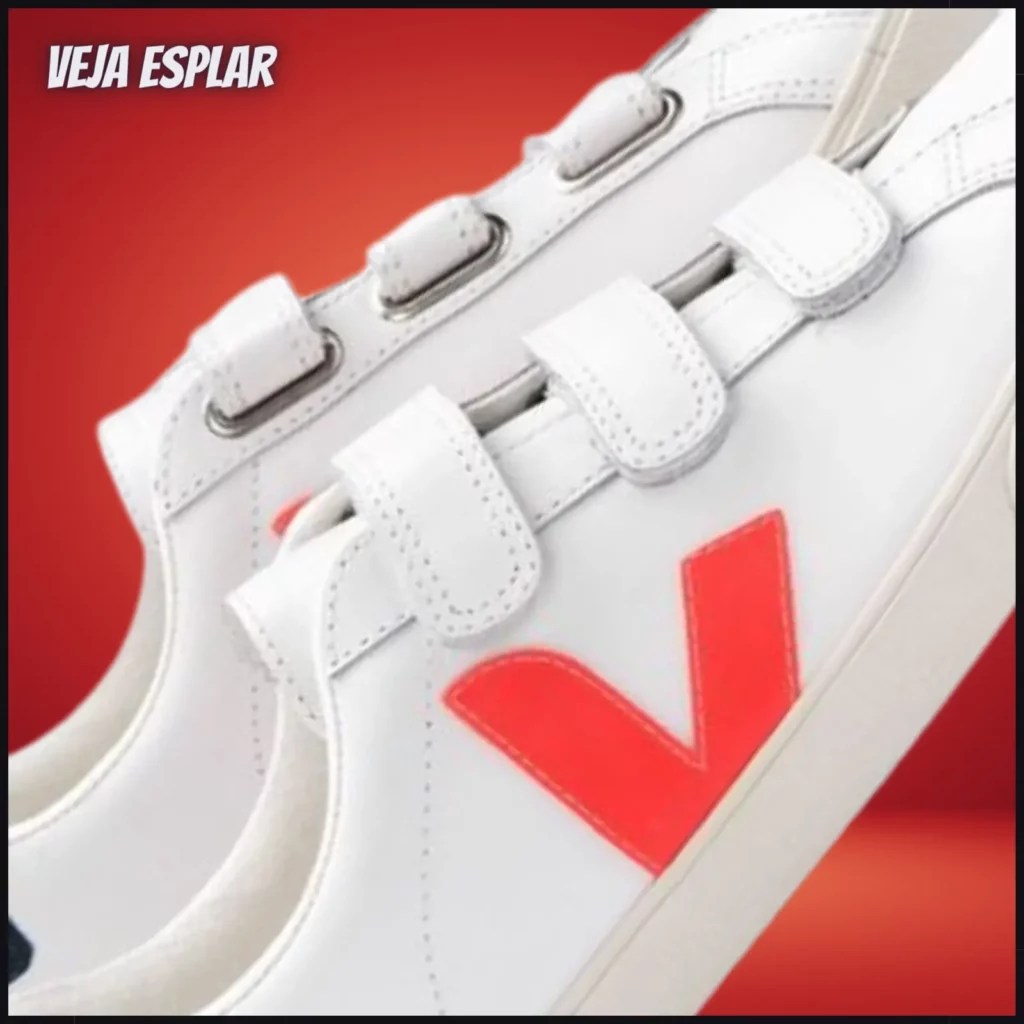 Veja Campo vs Esplar Sneakers 7 Key Differences Explained