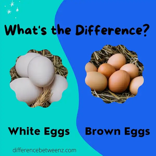 Difference between White Eggs and Brown Eggs Difference Betweenz