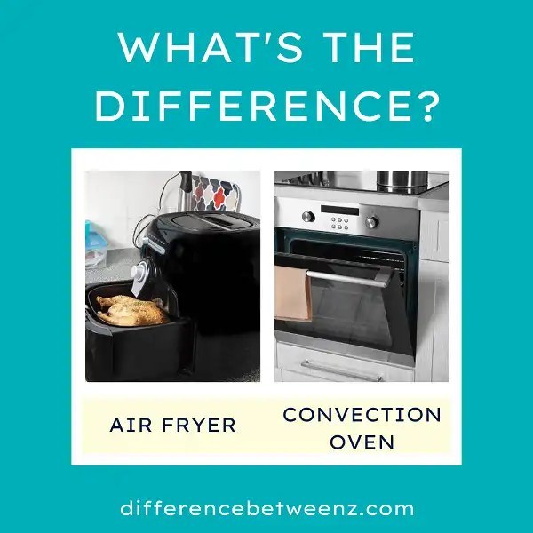 Difference between Air Fryer and Convection Oven Difference Betweenz